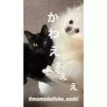 水沢 えりか