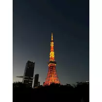 あんな