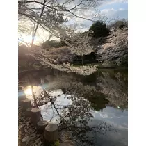 はづき