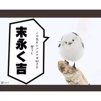 ひな