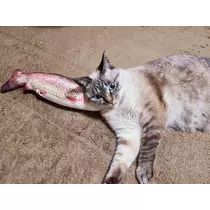 ひな
