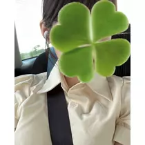 緑 四葉