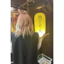 司