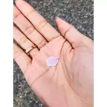 ゆかり