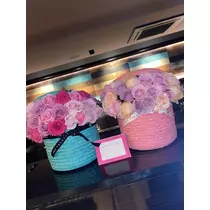 白石 愛莉