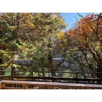 西園寺 ゆきみ