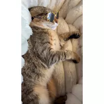 のぞみ
