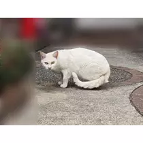 エミ （スタッフ）