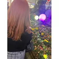 あおい