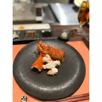 日向 茉莉