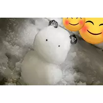 せな