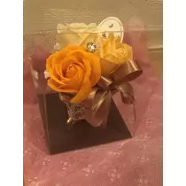 あやの