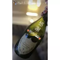 司