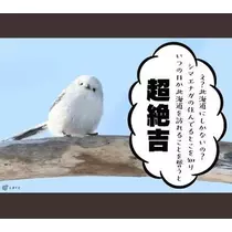 ひな