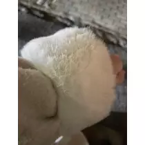 黒田 れい