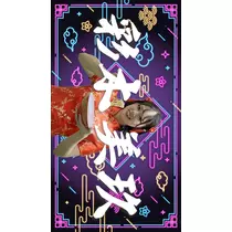 TaroTV