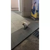 かずは