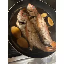 日向 茉莉