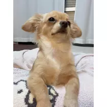 るな