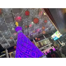 山田 華蓮