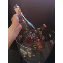 白石 愛莉