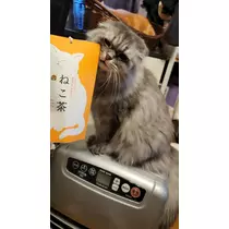 りか