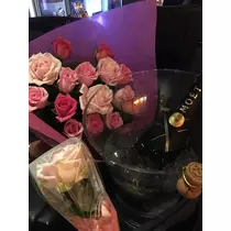白石 愛莉