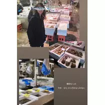 ハルカ