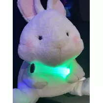 まこと