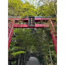 あかり(ママ)