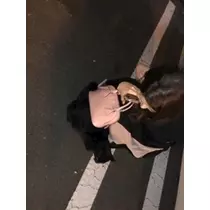 足立 はな