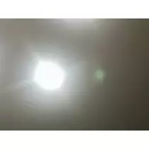 空条 しいな