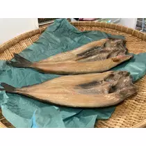 夏樹 あや