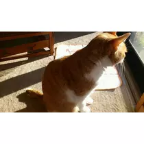 ゆあ