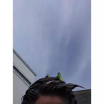 あや