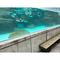 ねむ