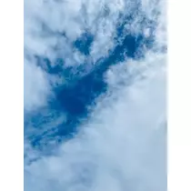 ゆかり