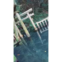 あいな