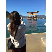 智華