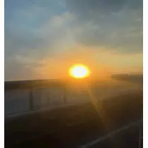 黒川 すみれ
