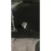 かずは