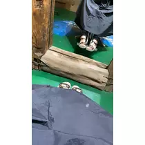 Nao ^._.^