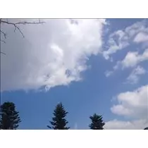 コウ