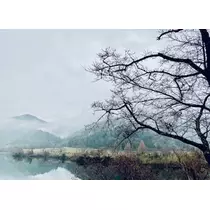 ゆかり