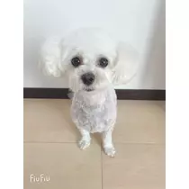 もえ
