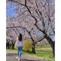 はる