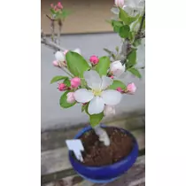あ
