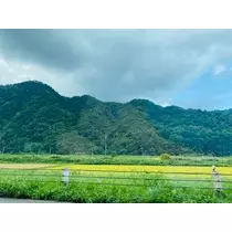 ゆかり