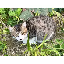 杉谷 ちなみ