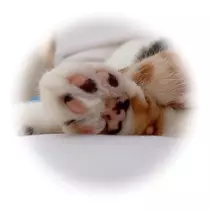 ゆの